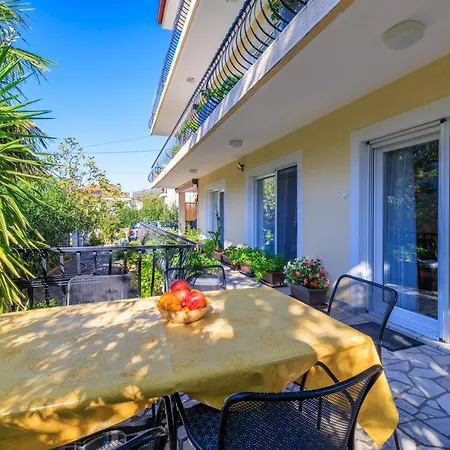 Pinty * 자드라보노