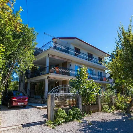 Pinty * 자드라보노